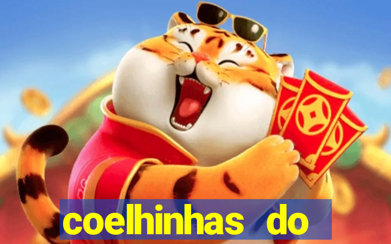 coelhinhas do brasil recife